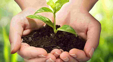 Agriculture Industries